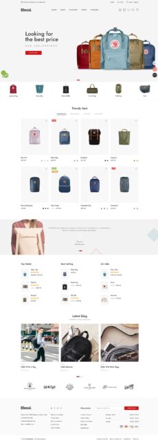 Bag - Elessi demo by NasaTheme - Ecommerce (Online Shop) web design