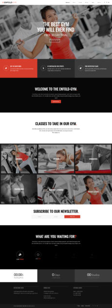 Enfold Gym - Enfold demo by Kriesi - Education web design